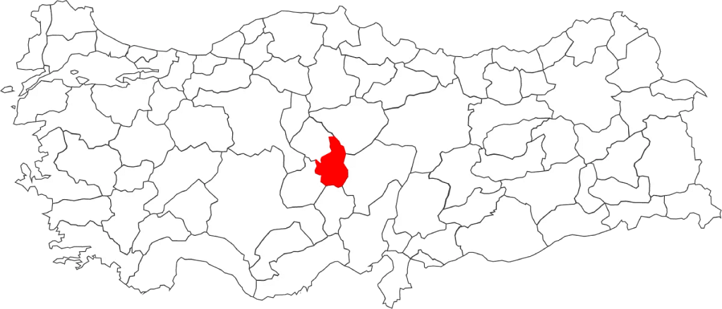 Nevşehir Çince Tercüman