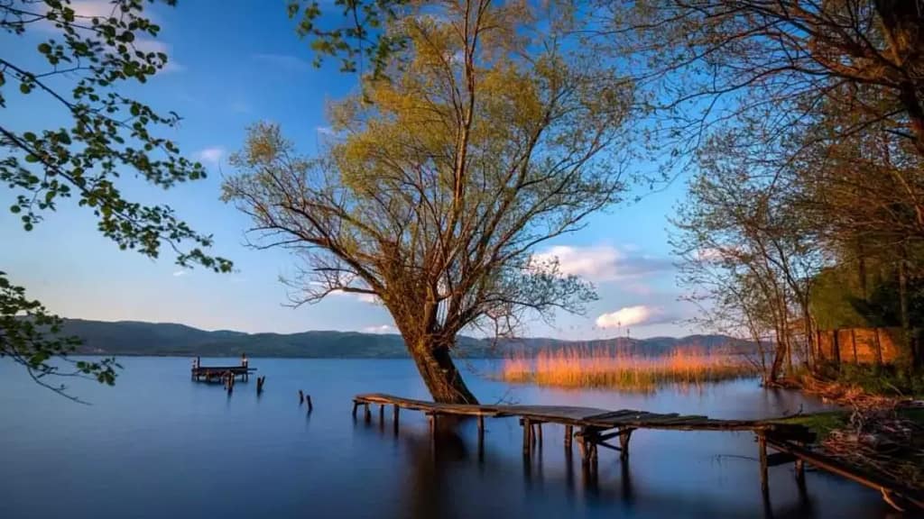 Kocaeli Sapanca Gölü / Kocaeli Çince Tercüman