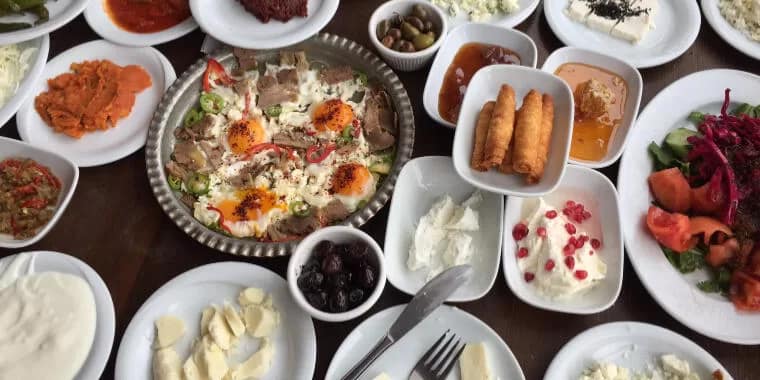 Diyarbakır Sofrası / Diyarbakır Çince Tercümanlık