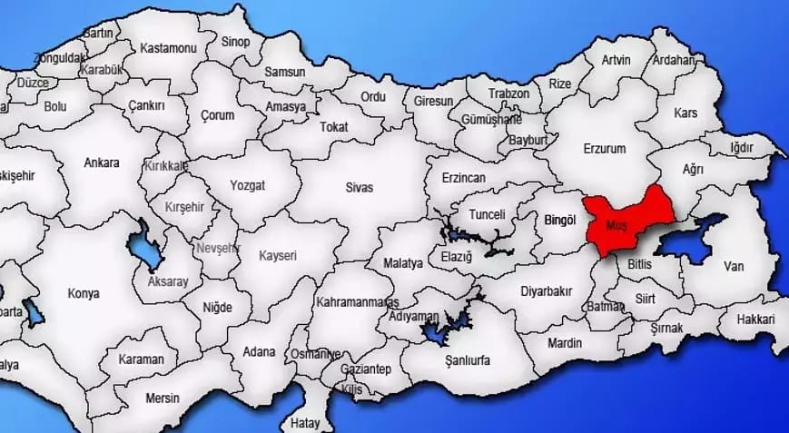 Muş Çince Tercüman